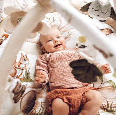 Happy Bear Kolleksjon