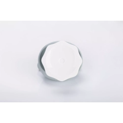 MOMBELLA MUSHROOM IRON 