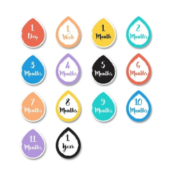 FOTOTEPPE + MILESTONE CARDS A Dream Come True HELLO WORLD