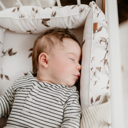 PREMIUM DOBELSTIDIG BABYNEST - Mantulilen