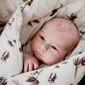 SOVEPOSE (BABYWRAP) & BABYDYNE 2in1 - TOSIDIG - GOSSIPIUM