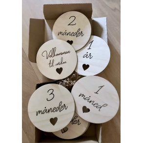 VELKOMMEN TIL VERDEN skilt + 12 stk skilt med m�neder (norsk) Milestone - milep�l <3