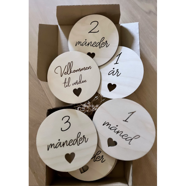 VELKOMMEN TIL VERDEN skilt + 12 stk skilt med m�neder (norsk) Milestone - milep�l <3