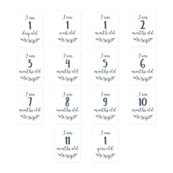 FOTOTEPPE + MILESTONE CARDS     HELLO WORLD