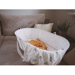 MOSESKURV HVIT inkl MADRASS 