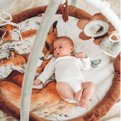 BABYGYM FOX