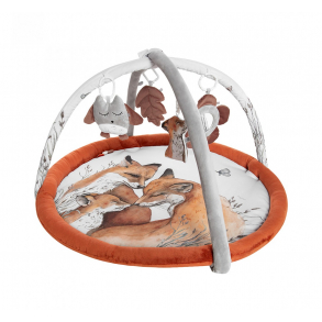 BABYGYM FOX