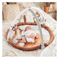 BABYGYM FOX