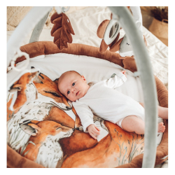 BABYGYM FOX
