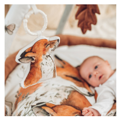 BABYGYM FOX