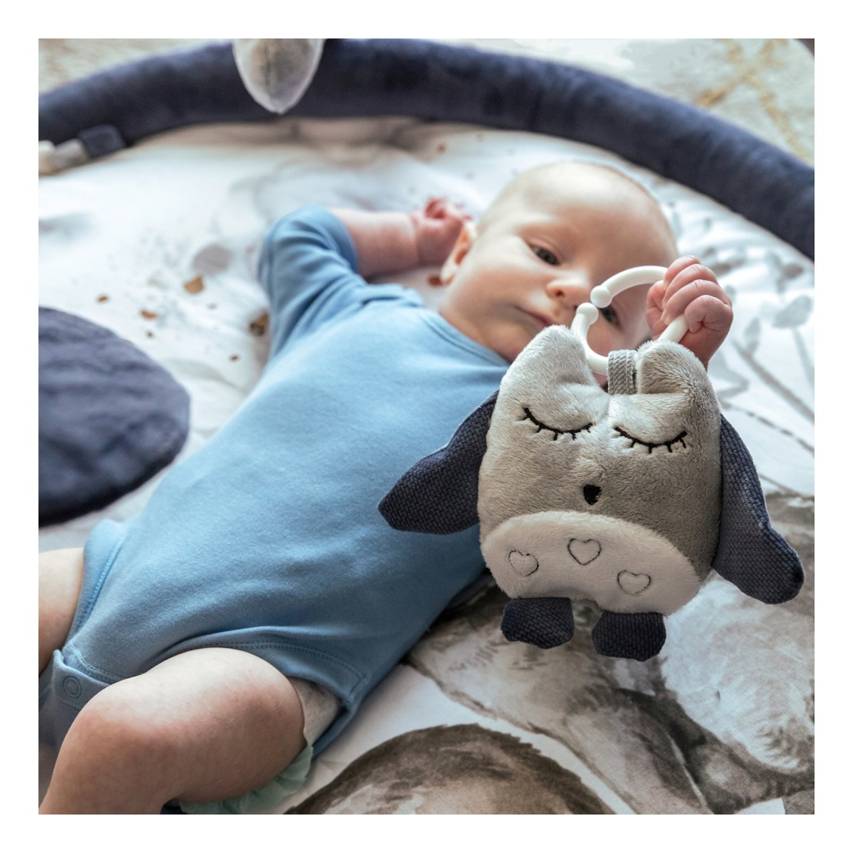 BABYGYM Wolf Moonlight