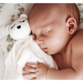 KOSEKLUT BJRN I MUSSELIN, ECRI