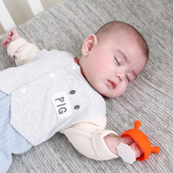 MOMBELLA MUSHROOM BIETELEKE ORANGE