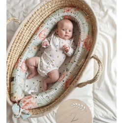 PAKKEPRIS!   MOSESKURV NATURE + MADRASS + GULVSTATIV