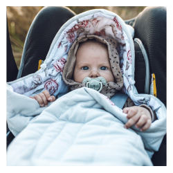 BILSTOLPOSE World of dinosaurs MINT