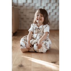 SOVEPOSE/NATTPOSE MED BEN 12-36mnd mnd BALLOONS  2.5TOG