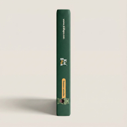 KidBook DINO - Grafisk tegnebrett med oppgavekort for tegning 