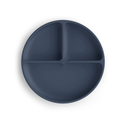 TALLERKEN med inndeling og sugekopp - NAVI